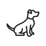 Pet Feed
