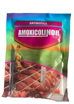 Amoxicolinor 100g (jubaili) Amoxicolinor 100g (jubaili)