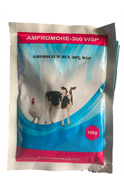 Ampromore 300 WSP Ampromore 300 WSP