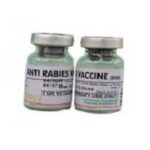 Anti-Rabies Vaccine