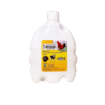 Kattle Care Enrofloxaxin 100ml